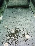 image of grave number 341024